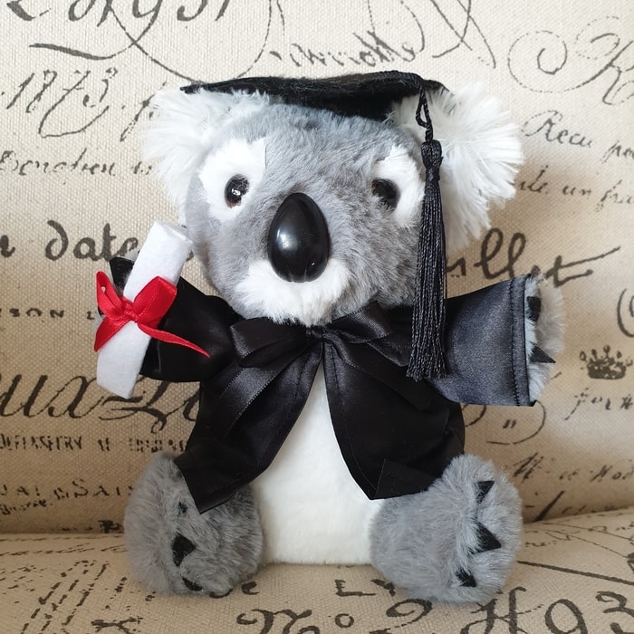 Graduation Koala 20cm 'Liang' - Bulk Discounts